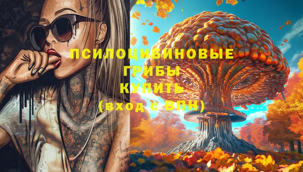 MDMA Краснослободск