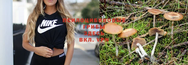 a pvp Краснотурьинск