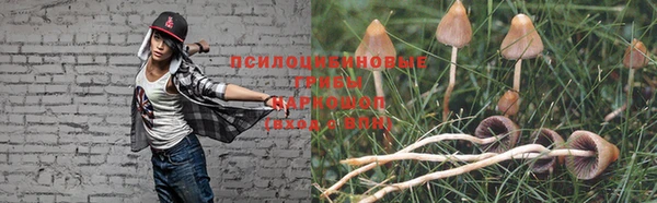 a pvp Краснотурьинск