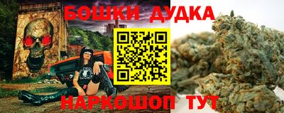 прущие грибы Будённовск