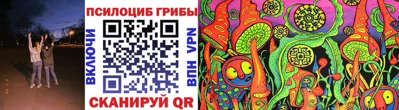 Галлюциногенные грибы Psilocybe Балаково