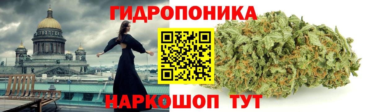 Балаково  Каннабис планчик  Бошки Шишки SATIVA & INDICA  Вход с VPN  Канабис конопля 